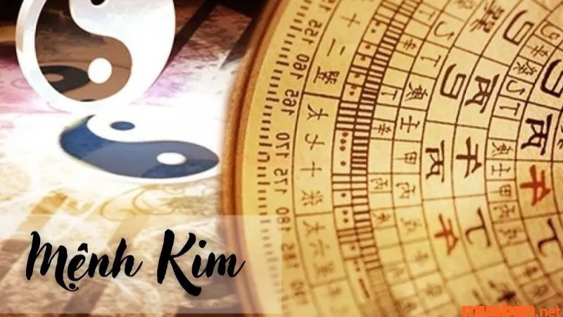 Kim khắc Mộc là gì? Những cách hóa giải Kim khắc Mộc cực linh nghiệm