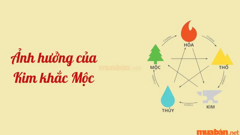 Kim khắc Mộc là gì? Những cách hóa giải Kim khắc Mộc cực linh nghiệm