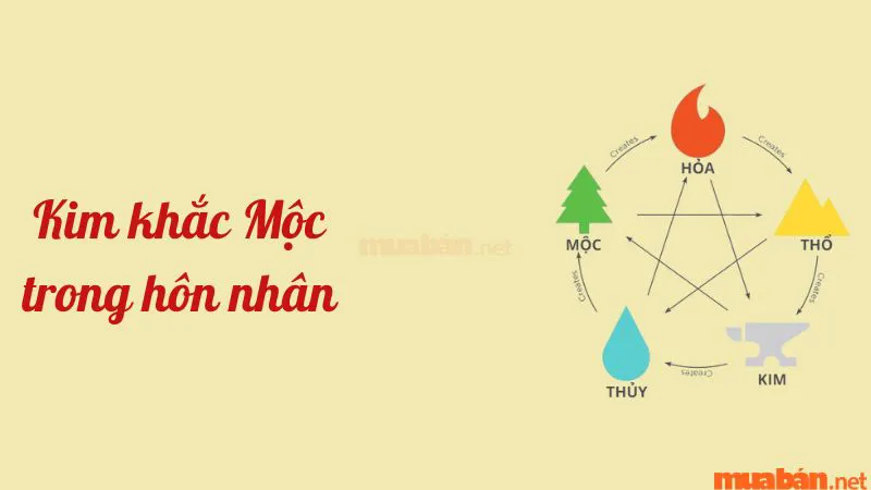 Kim khắc Mộc là gì? Những cách hóa giải Kim khắc Mộc cực linh nghiệm