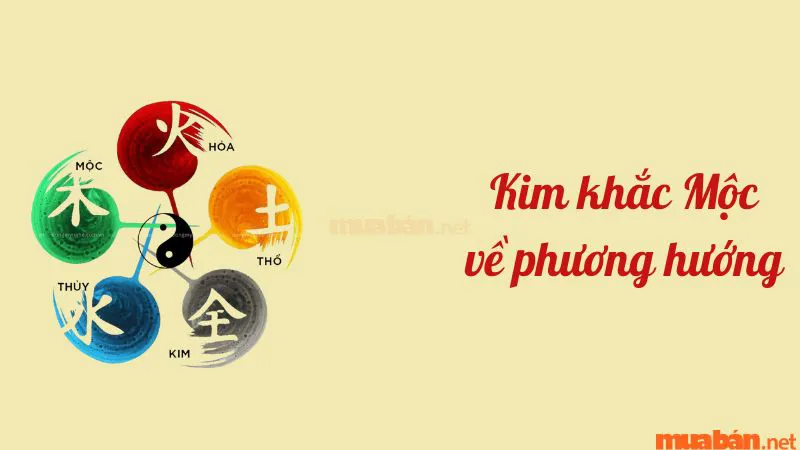 Kim khắc Mộc là gì? Những cách hóa giải Kim khắc Mộc cực linh nghiệm