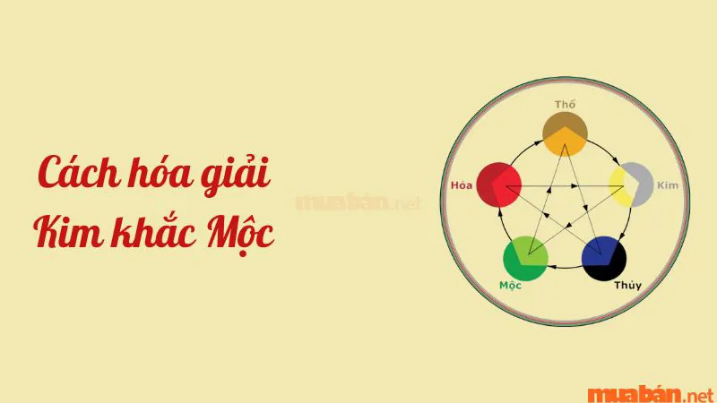 Kim khắc Mộc là gì? Những cách hóa giải Kim khắc Mộc cực linh nghiệm