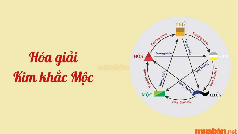 Kim khắc Mộc là gì? Những cách hóa giải Kim khắc Mộc cực linh nghiệm