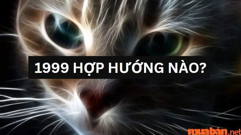 Kỷ Mão 1999 hợp hướng nào trong xây dựng nhà cửa, bố trí nội thất