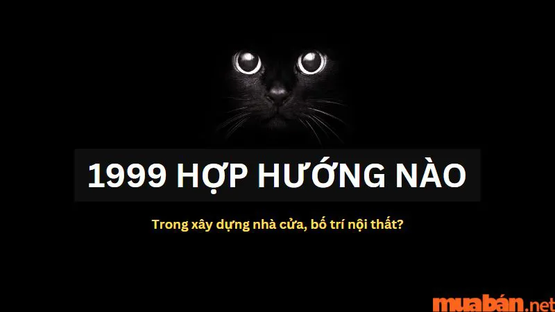 Kỷ Mão 1999 hợp hướng nào trong xây dựng nhà cửa, bố trí nội thất