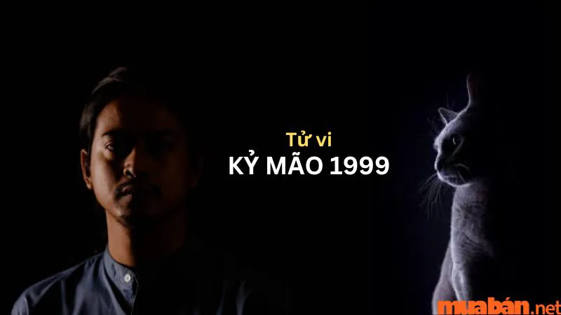 Kỷ Mão 1999 hợp hướng nào trong xây dựng nhà cửa, bố trí nội thất