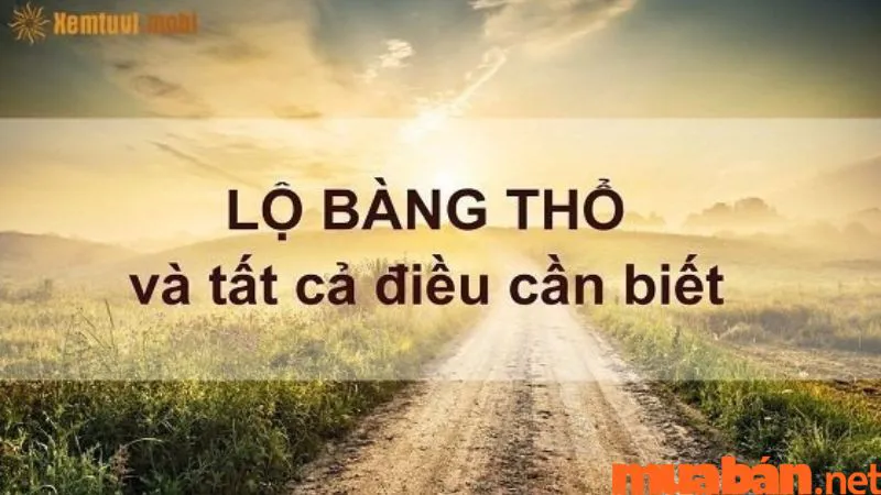 Lộ Bàng Thổ là gì? Mệnh Lộ Bàng Thổ hợp màu gì? Mệnh gì? Hướng gì?