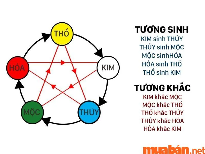 Lộ Bàng Thổ là gì? Mệnh Lộ Bàng Thổ hợp màu gì? Mệnh gì? Hướng gì?