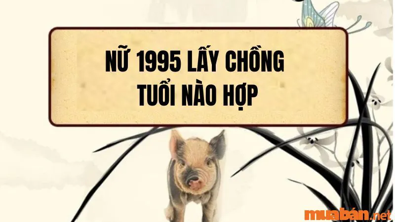 Luận Giải Chi Tiết Ất Hợi Nữ 1995 Lấy Chồng Tuổi Nào Hợp?