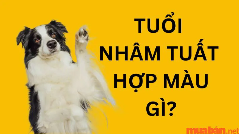 Luận giải chi tiết: Tuổi Nhâm Tuất hợp màu gì trong phong thủy?