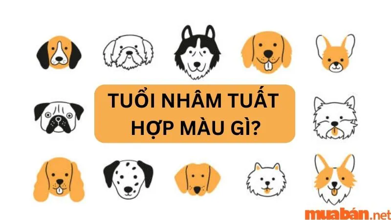 Luận giải chi tiết: Tuổi Nhâm Tuất hợp màu gì trong phong thủy?