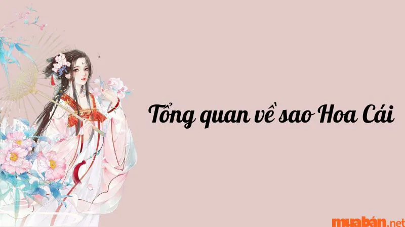 Luận giải chi tiết ý nghĩa và đặc điểm sao Hoa Cái ở các cung mệnh