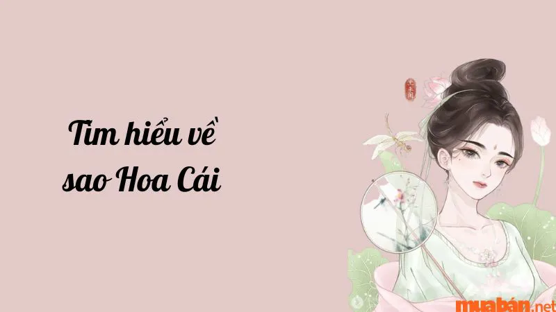 Luận giải chi tiết ý nghĩa và đặc điểm sao Hoa Cái ở các cung mệnh