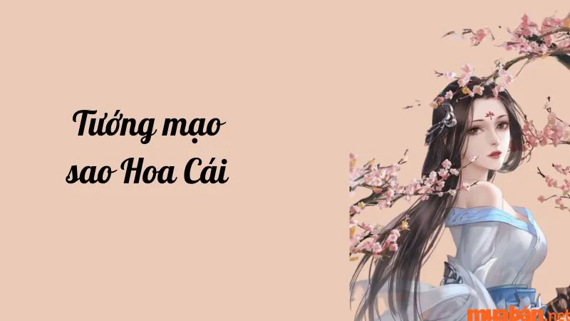 Luận giải chi tiết ý nghĩa và đặc điểm sao Hoa Cái ở các cung mệnh