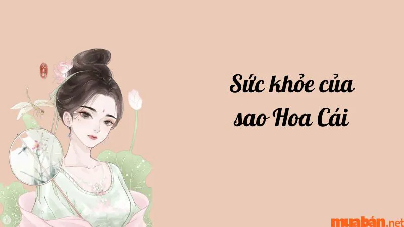 Luận giải chi tiết ý nghĩa và đặc điểm sao Hoa Cái ở các cung mệnh