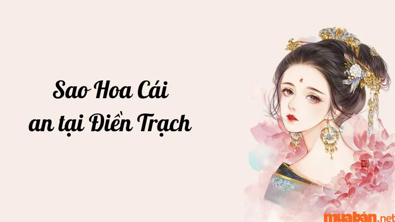 Luận giải chi tiết ý nghĩa và đặc điểm sao Hoa Cái ở các cung mệnh