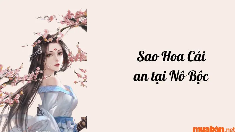 Luận giải chi tiết ý nghĩa và đặc điểm sao Hoa Cái ở các cung mệnh