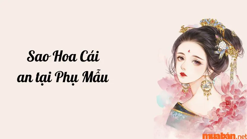 Luận giải chi tiết ý nghĩa và đặc điểm sao Hoa Cái ở các cung mệnh