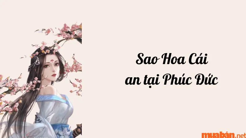 Luận giải chi tiết ý nghĩa và đặc điểm sao Hoa Cái ở các cung mệnh