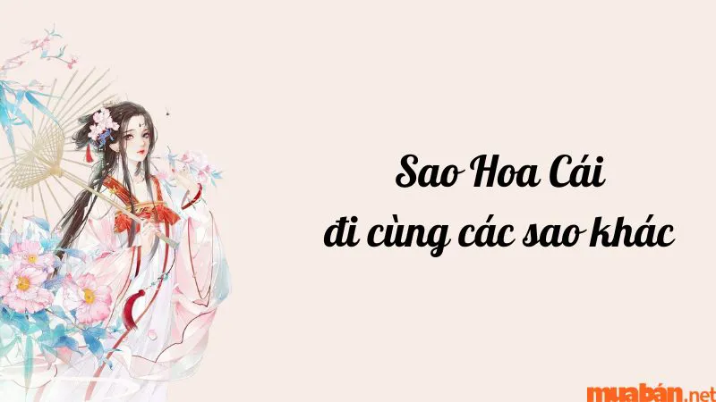 Luận giải chi tiết ý nghĩa và đặc điểm sao Hoa Cái ở các cung mệnh