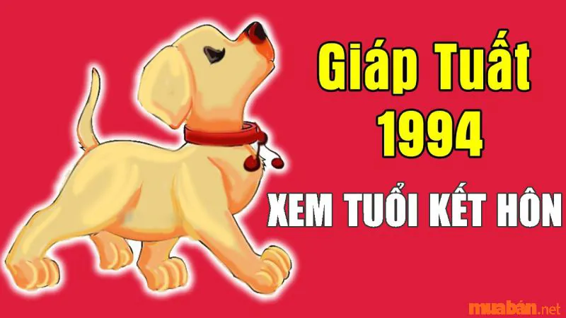 Luận Giải Nữ 1994 Lấy Chồng Tuổi Nào Hợp Theo Cung Mệnh Chi Tiết