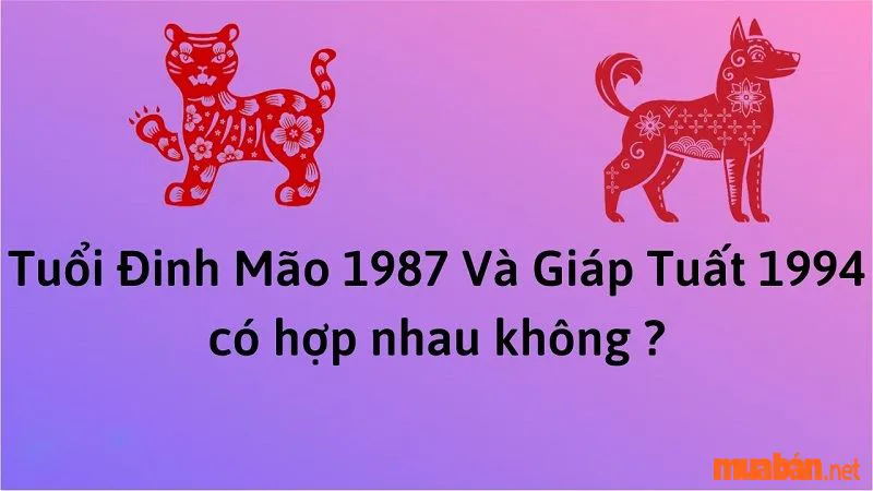 Luận Giải Nữ 1994 Lấy Chồng Tuổi Nào Hợp Theo Cung Mệnh Chi Tiết