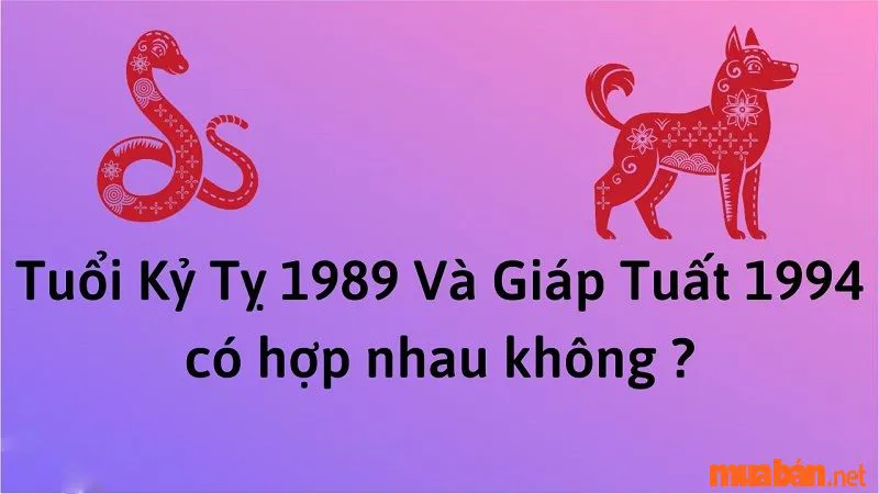 Luận Giải Nữ 1994 Lấy Chồng Tuổi Nào Hợp Theo Cung Mệnh Chi Tiết