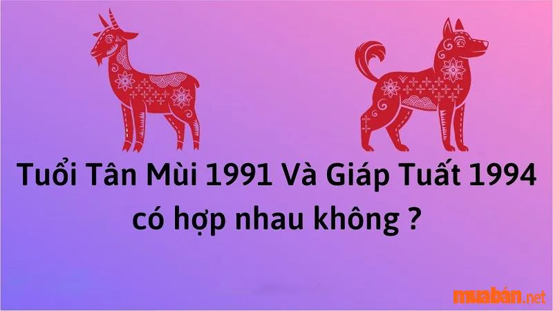 Luận Giải Nữ 1994 Lấy Chồng Tuổi Nào Hợp Theo Cung Mệnh Chi Tiết