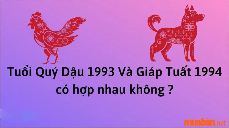 Luận Giải Nữ 1994 Lấy Chồng Tuổi Nào Hợp Theo Cung Mệnh Chi Tiết