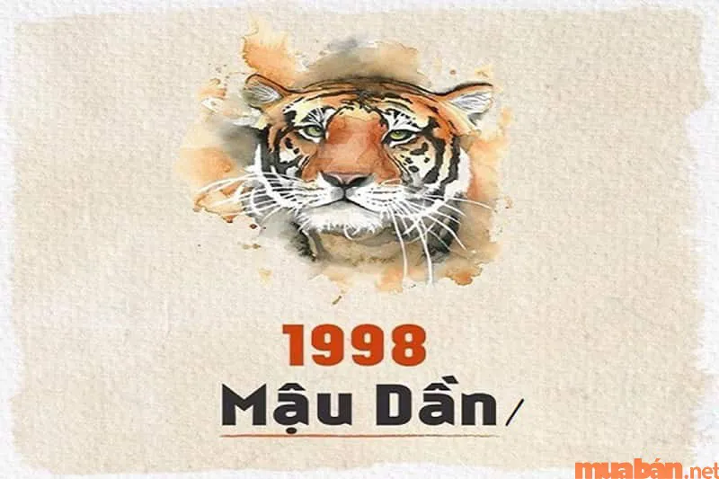 Luận giải tình duyên Mậu Dần nam 1998 lấy vợ tuổi gì thì hợp?