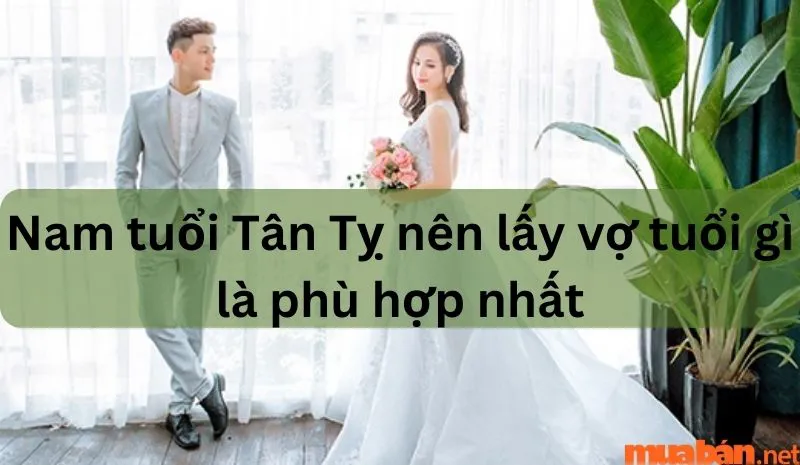 Luận giải tình duyên Tân Tỵ Nam 2001 lấy vợ tuổi gì?