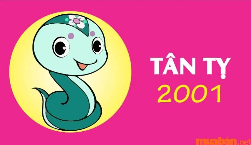 Luận giải tình duyên Tân Tỵ Nam 2001 lấy vợ tuổi gì?