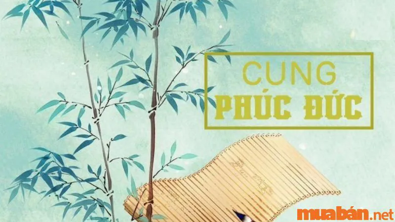 Luận giải tử vi cung Phúc Đức: Ý nghĩa các sao tại cung Phúc Đức