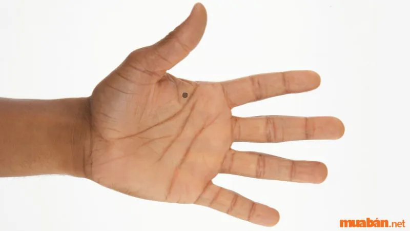 Luận giải ý nghĩa 17 nốt ruồi trong lòng bàn tay ở nam nữ tốt hay xấu