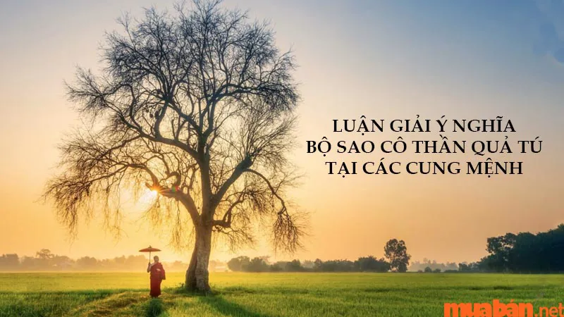 Luận giải ý nghĩa bộ Sao Cô Thần, Quả Tú là gì tại các cung mệnh