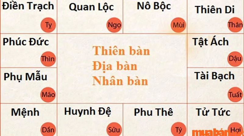 Luận giải ý nghĩa bộ Sao Cô Thần, Quả Tú là gì tại các cung mệnh