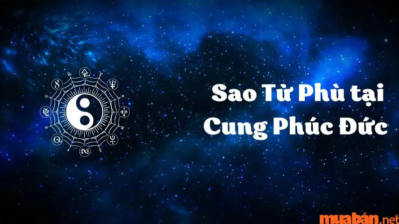 Luận Giải Ý Nghĩa Sao Tử Phù Tại Mệnh Và Các Cung Khác Trong Lá Số