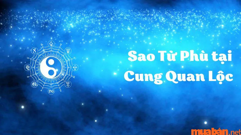 Luận Giải Ý Nghĩa Sao Tử Phù Tại Mệnh Và Các Cung Khác Trong Lá Số