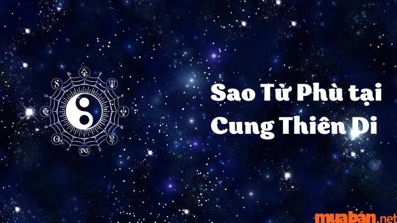 Luận Giải Ý Nghĩa Sao Tử Phù Tại Mệnh Và Các Cung Khác Trong Lá Số