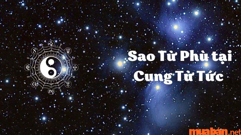 Luận Giải Ý Nghĩa Sao Tử Phù Tại Mệnh Và Các Cung Khác Trong Lá Số