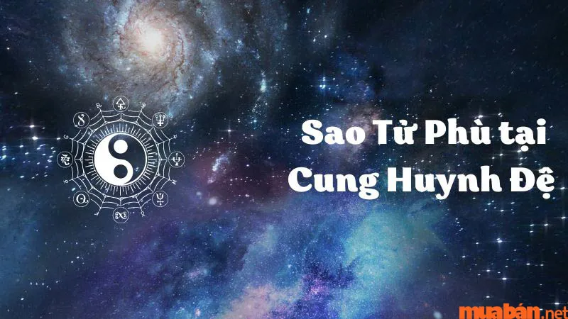 Luận Giải Ý Nghĩa Sao Tử Phù Tại Mệnh Và Các Cung Khác Trong Lá Số