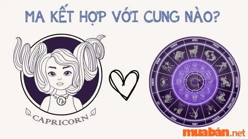 Ma Kết Hợp Với Cung Nào Trong Tình Bạn Và Trong Tình Yêu?