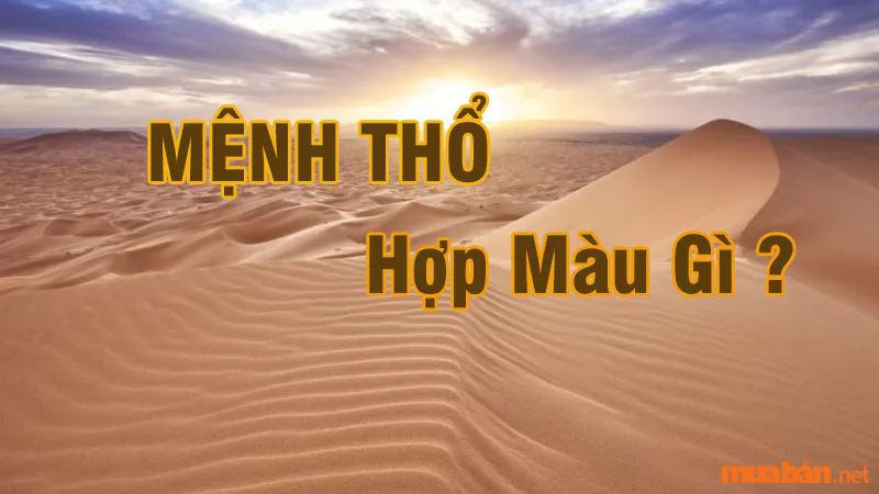 Màu bản mệnh là gì? Có ý nghĩa gì? Cách xem màu hợp mệnh với mỗi người