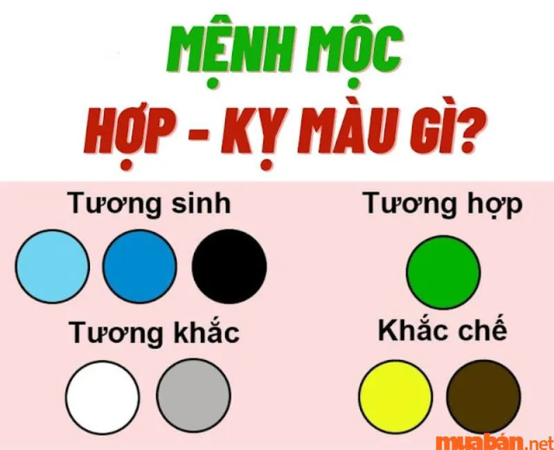 Màu hợp mệnh Mộc – Cách chọn màu sắc phong thủy cho người mệnh Mộc