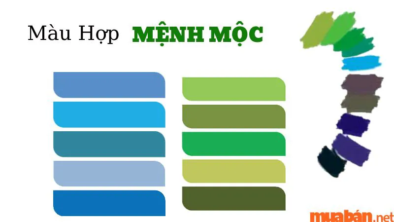 Màu hợp mệnh Mộc – Cách chọn màu sắc phong thủy cho người mệnh Mộc