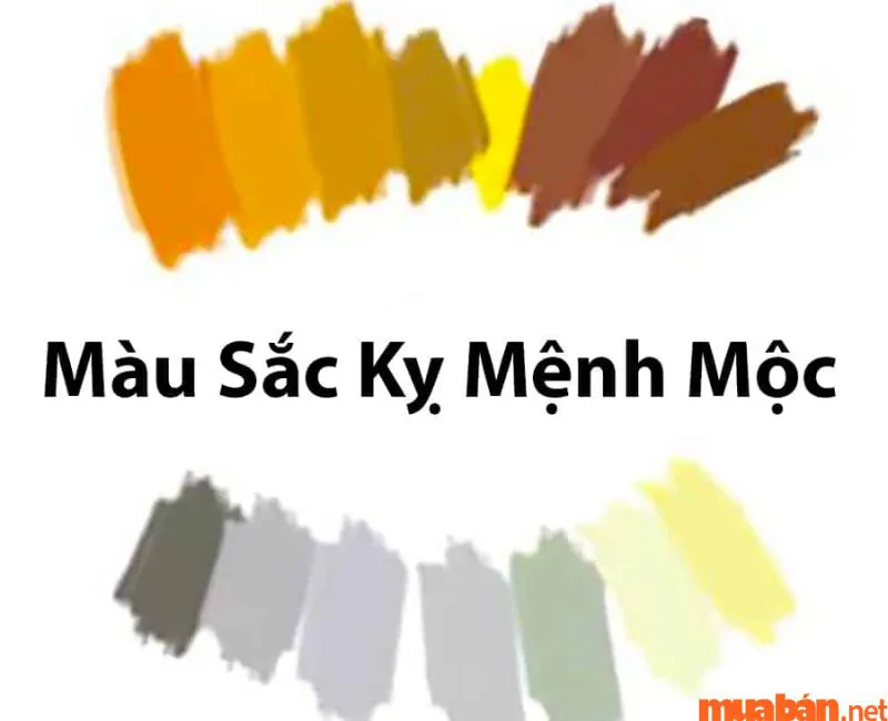 Màu hợp mệnh Mộc – Cách chọn màu sắc phong thủy cho người mệnh Mộc