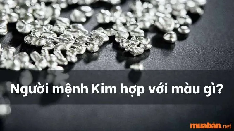 Mệnh Kim hợp màu gì? Màu phong thủy hợp người mệnh Kim