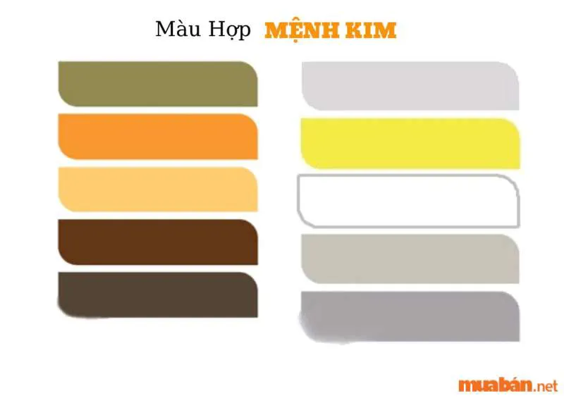 Mệnh Kim hợp màu gì? Màu phong thủy hợp người mệnh Kim