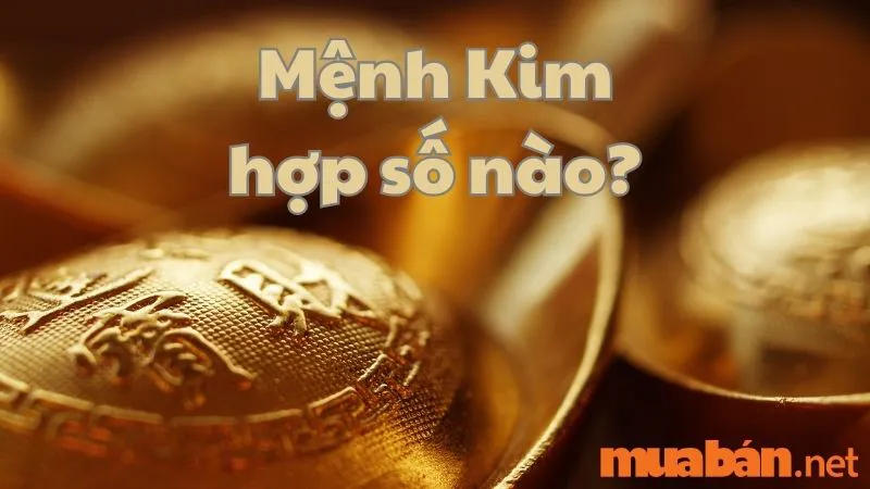 Mệnh Kim Hợp Số Nào? Tìm Hiểu Con Số May Mắn Dành Cho Mệnh Kim