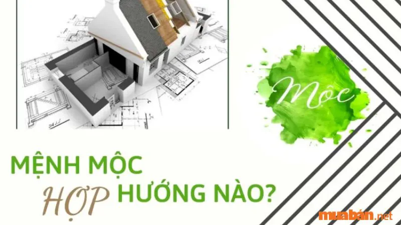 Mệnh Mộc hợp hướng nào? Cách bố trí nhà hợp phong thuỷ