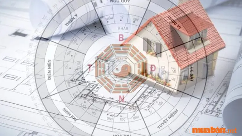 Mệnh Mộc hợp hướng nào? Cách bố trí nhà hợp phong thuỷ